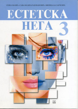 24856-500x700