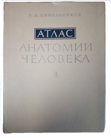 anatomski_atlas_sine