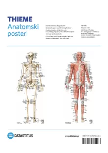 anatomski_posteri_kosti_i_miii
